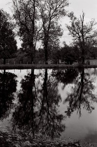 Bois de Vincennes